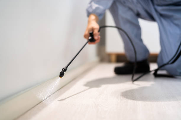 Licensed Rodent Control service in Tehachapi, CA - Nex Pest Control