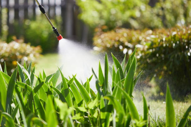 24/7 Emergency Rodent Control experts in Tehachapi, CA