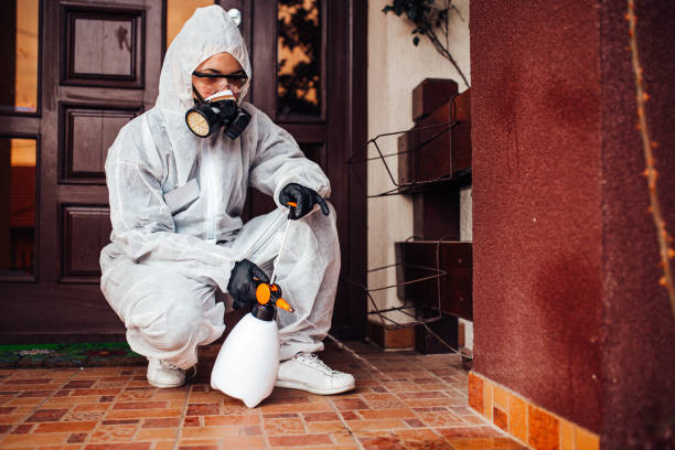 Reliable Rodent Control contractor in Tehachapi, CA by Nex Pest Control